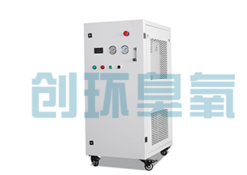阿拉尔石斑鱼养殖水质调控完整指南：臭氧发生器配置与操作步骤